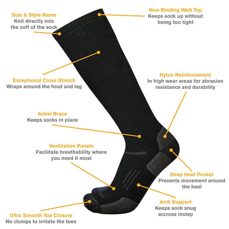 Point6 10th Mountain Division Light OTC - Image 3